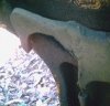 PICT0058_small.JPG