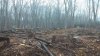 20150407_1901021.jpg 20150407_1901021.jpg