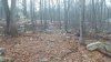 20150407_1858211.jpg 20150407_1858211.jpg