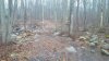 20150407_1857121.jpg 20150407_1857121.jpg