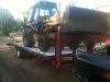 Cat 426 3.jpg