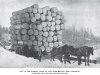 1878 logging.jpg