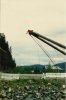 1990 Kelsey Bay A-Frame & Dump Dismantling 5.jpg