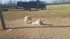 20160229_092512.jpg 20160229_092512.jpg