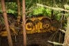 201606-bc-ln-bear creek logging-8289_resize.jpg