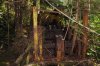 201606-bc-ln-bear creek logging-8291_resize.jpg