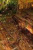 201606-bc-ln-bear creek logging-8325_resize.jpg