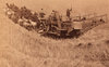 800px-Combine_harvester_pulled_by_33_horses_Walla_Walla_ca__1902_b.jpg