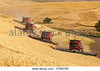 multiple-case-combines-harvesting-wheat-on-the-hills-of-the-palouse-eyng1w.jpg
