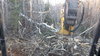 20161115_151620.jpg