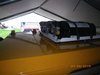 Grizzly 003 (132).JPG