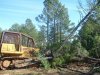 2  Dozer pushing over pine trees.jpg