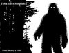 Toba Inlet Sasquatch.jpg