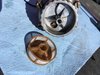 12 Fuel Pump Filter Basket Cleaned Up.JPG