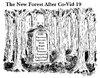 The New Forest Cartoon.jpg