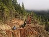 PXL_20201014_163629887.jpg