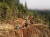 PXL_20201014_163633149.jpg