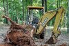 backhoe stump.jpg