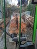 PXL_20211122_220731612.jpg