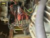 F4DE374D-1C21-43E7-9CFB-FA5B787E039C.jpeg