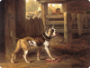 Philip_Reinagle_-_Bulldog(rounded).png