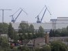 IMG_20190524_165128.jpg