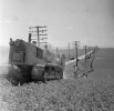 Burying telephone cable, caterpillar tractors, Lower Waitsburg Road. May 11 1959 (10).JPG