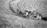 Tompkins wheat farm 5 miles NE of Clyde (27).JPG