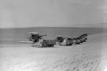 Wheat harvest by nine combines near Eureka, Jul 13 1969   (2).JPG