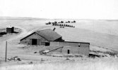 Wheat harvest combines on the Mel Hair ranch, Aug 5 1955 (7).JPG