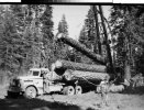 vintage-logging-booms-spars-a-frames-default-1-800x611.jpg