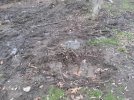 image000002.jpeg