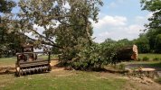 big oak 1.jpg