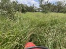 IMG_3381.jpeg