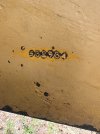 IMG_3489.jpeg