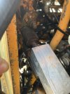 IMG_3595.jpeg