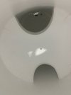 IMG_1665.jpeg