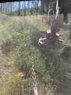 IMG_0790.jpeg