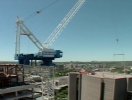 luffing crane2.jpg luffing crane2.jpg