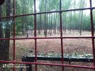 IMG_20240914_121129_438.jpg
