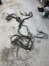 IMG_0464.jpeg