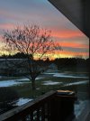 IMG_3317.JPEG