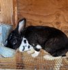 IMG_1584.jpeg