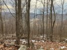 IMG_7318.jpeg