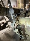 IMG_7631.jpeg