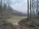 IMG_5966.jpeg IMG_5966.jpeg