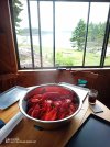 IMG_20250708_131512_631.jpg
