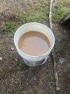 IMG_0415.jpeg