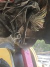 IMG_5563.jpeg