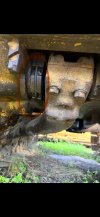IMG_9002.jpeg
